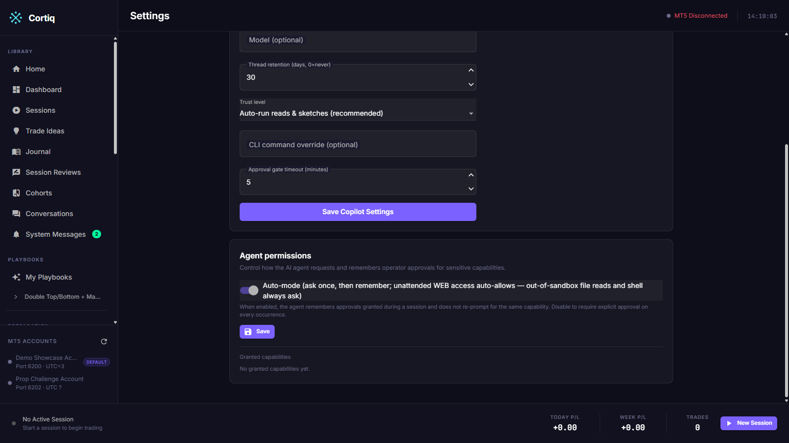 Agent permissions section in Settings, showing the auto-mode toggle and a list of granted capabilities